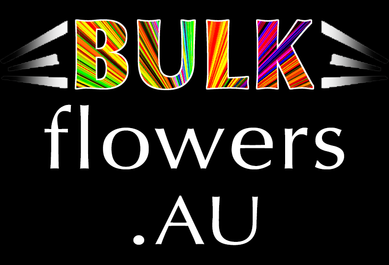 BULK FLOWERS BULK FLOWERS