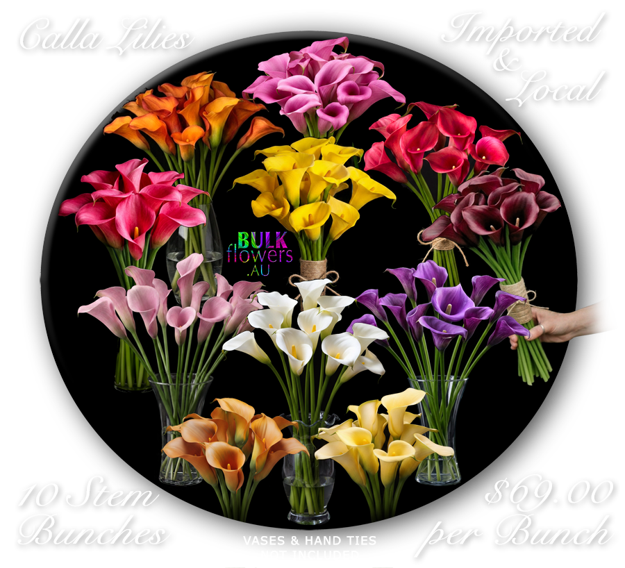 CALLA LILIES