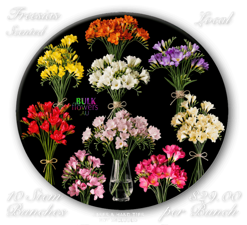 FREESIAS