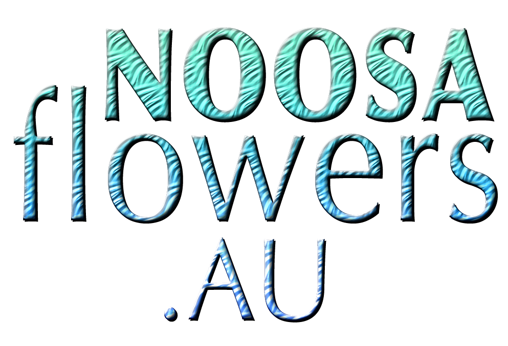 NOOSA BULK FLOWERS NOOSA BULK FLOWERS