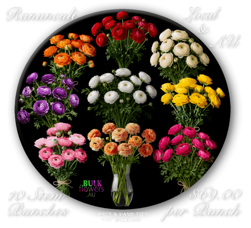 RANUNCULUS RANUNCULI