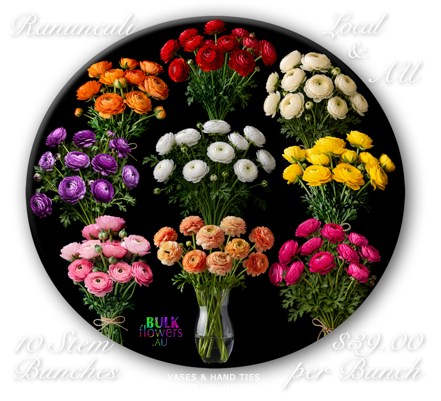 RANUNCULUS RANUNCULI