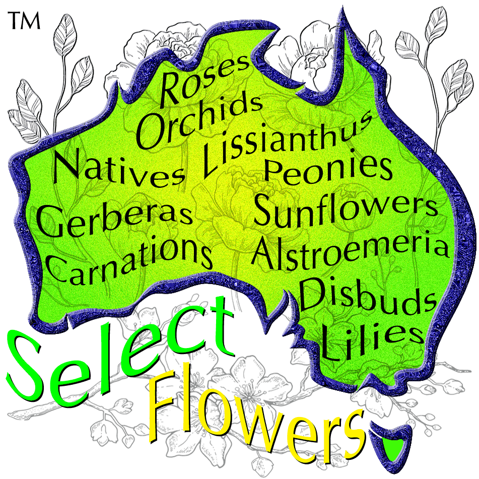 SELECT FLOWERS SELECT FLOWERS